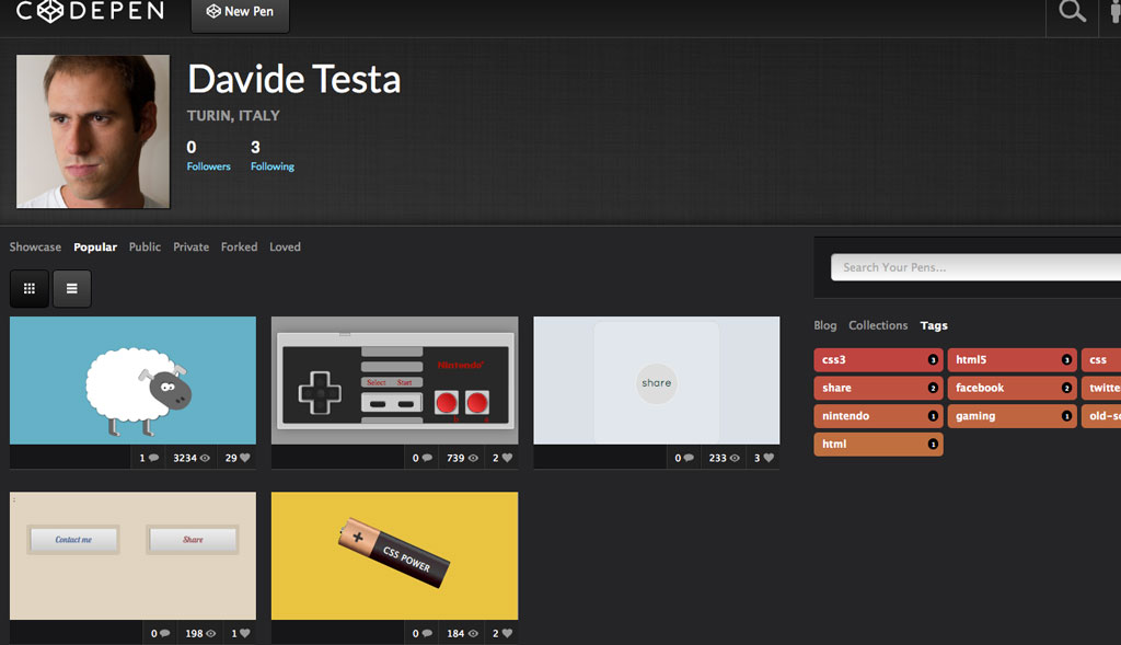 Profilo Davide Testa su Codepen